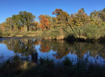 The Sanctuary Minnesota