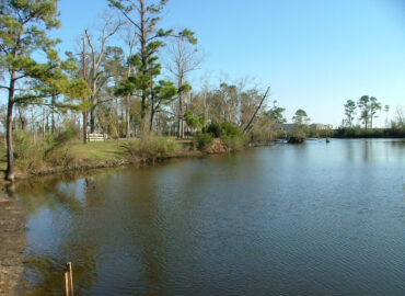 Pine Crest Park